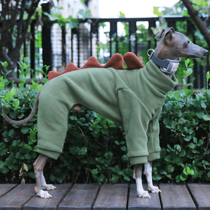 Italian Greyhound Onesies Double Fleece Dinosaur Whippet Dog Clothes Army Green - PIKAPIKA