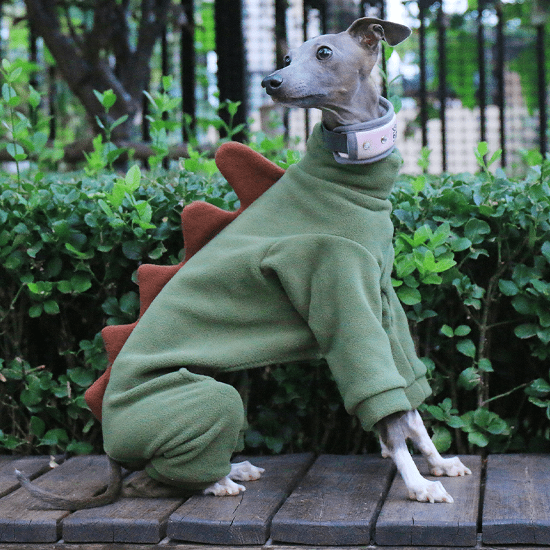 Italian Greyhound Onesies Double Fleece Dinosaur Whippet Dog Clothes Army Green - PIKAPIKA