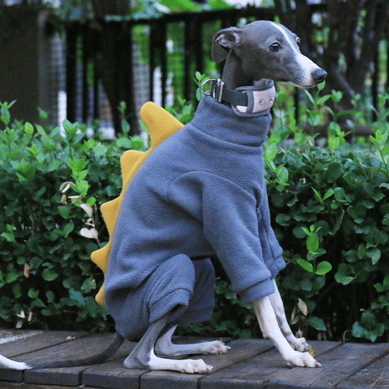Italian Greyhound Onesies Double Fleece Dinosaur Whippet Dog Clothes Dark Gray - PIKAPIKA