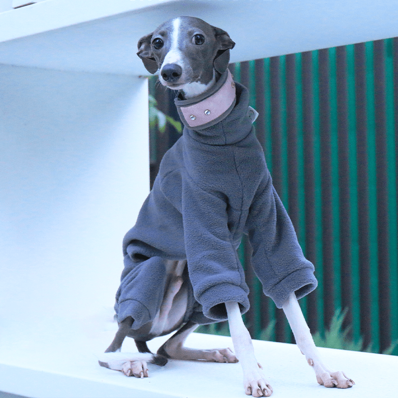 Italian Greyhound Onesies Double Fleece Dinosaur Whippet Dog Clothes Dark Gray - PIKAPIKA