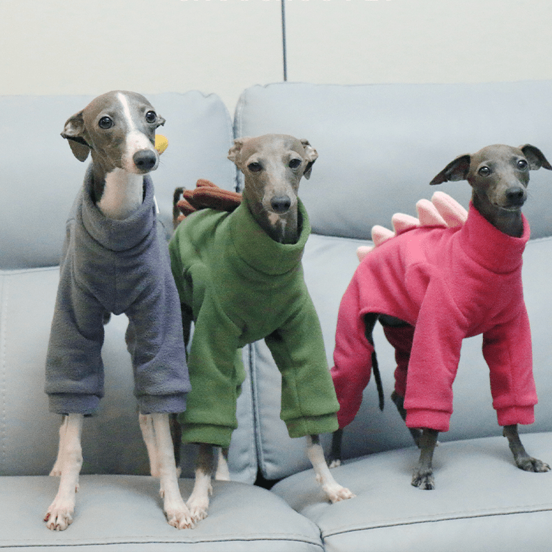 Italian Greyhound Onesies Double Fleece Dinosaur Whippet Dog Clothes Dark Gray - PIKAPIKA