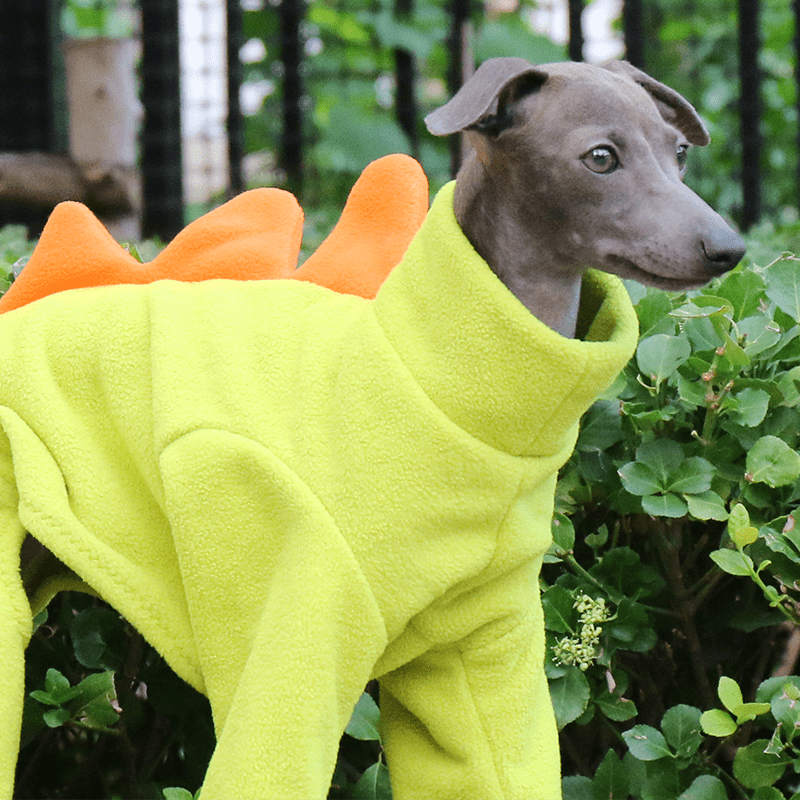 Italian Greyhound Onesies Double Fleece Monster Thick Whippet Dog Clothes - PIKAPIKA