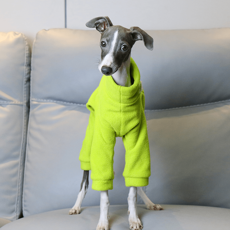 Italian Greyhound Onesies Double Fleece Monster Thick Whippet Dog Clothes - PIKAPIKA