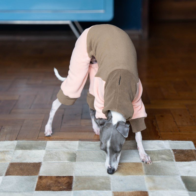 Italian Greyhound Onesies Double Fleece Thick Whippet Dog Clothes Brown - PIKAPIKA