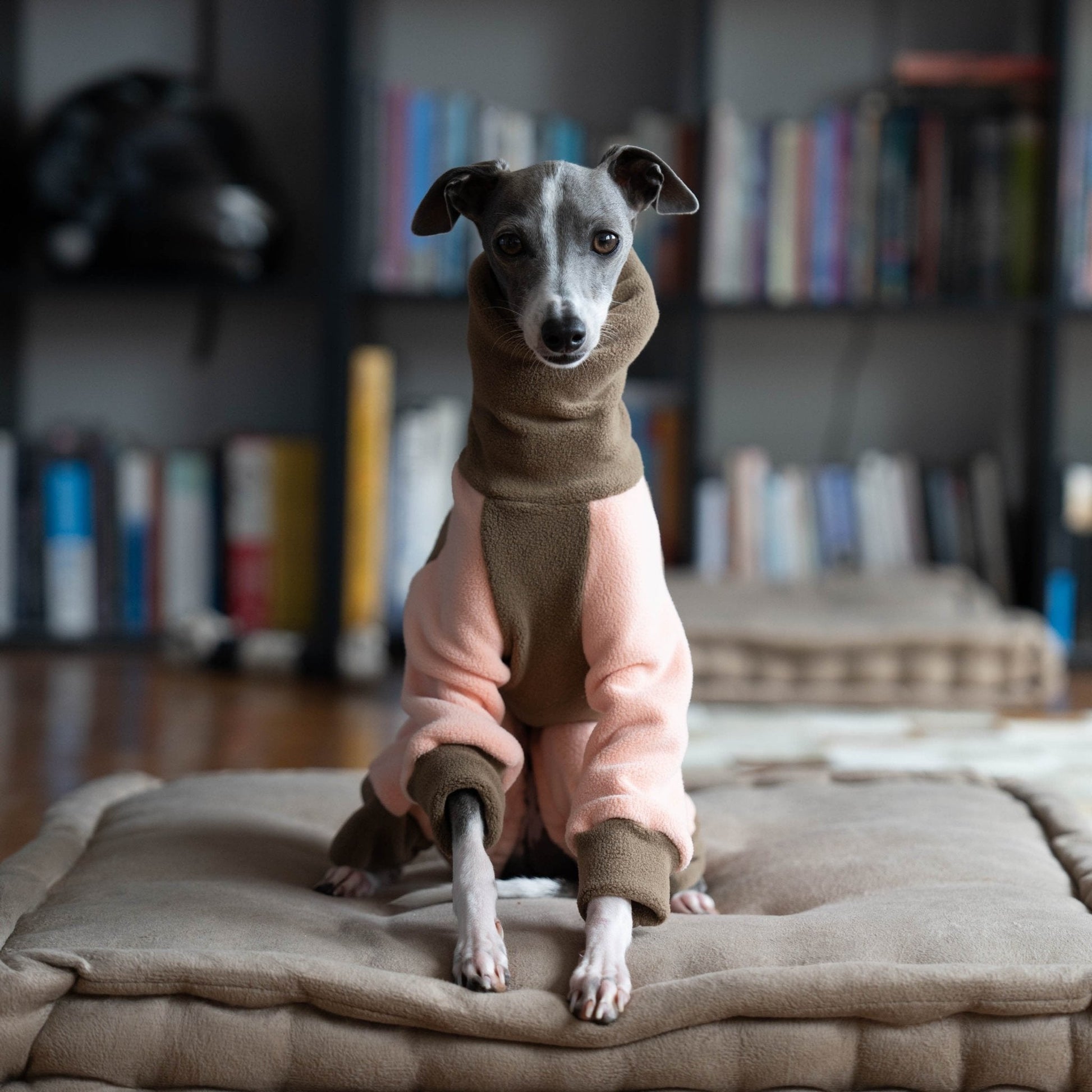 Italian Greyhound Onesies Double Fleece Thick Whippet Dog Clothes Brown - PIKAPIKA