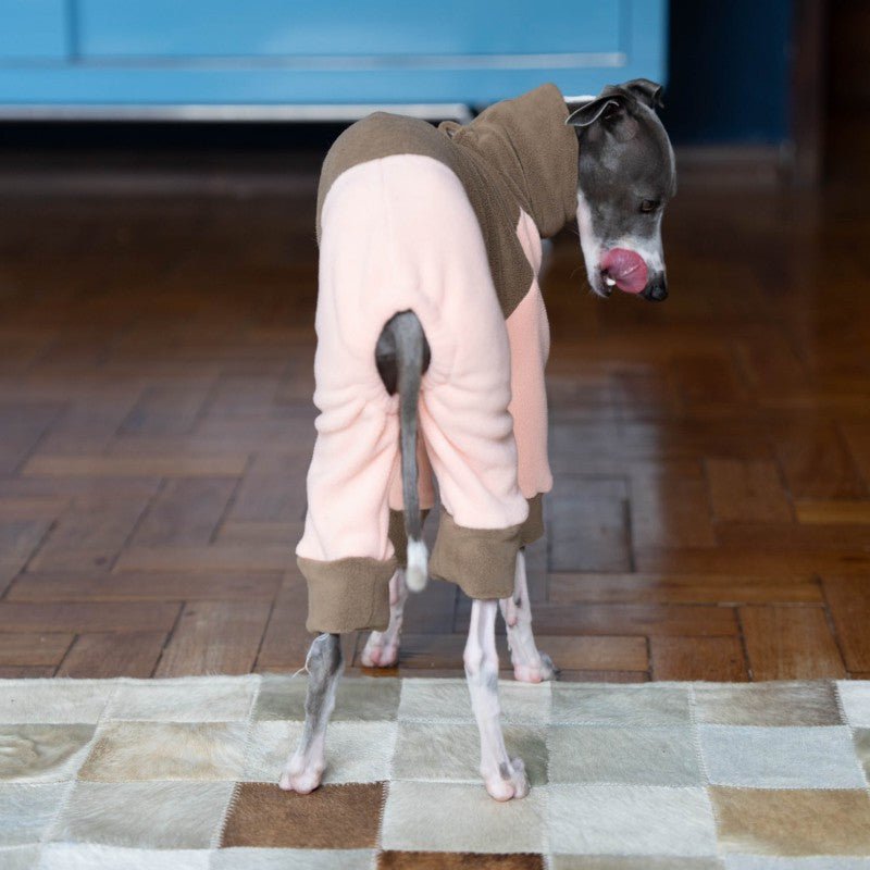Italian Greyhound Onesies Double Fleece Thick Whippet Dog Clothes Brown - PIKAPIKA