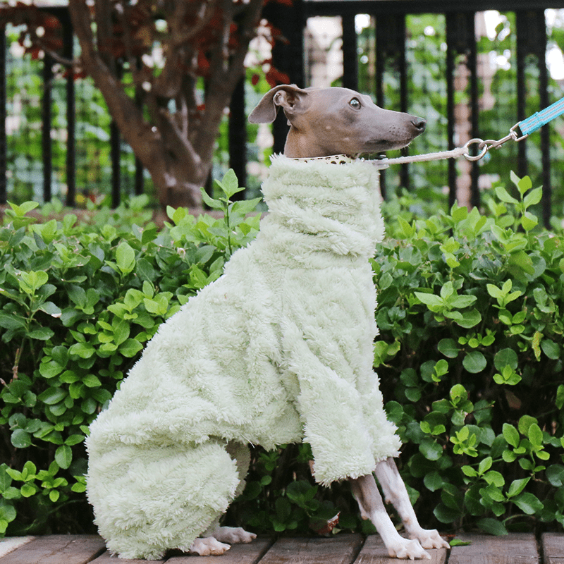 Italian Greyhound Onesies Double Fleece Thick Whippet Dog Clothing Green - PIKAPIKA
