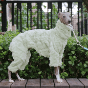 Italian Greyhound Onesies Double Fleece Thick Whippet Dog Clothing Green - PIKAPIKA