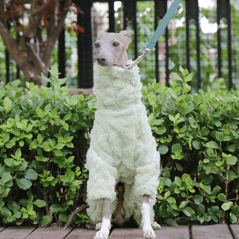 Italian Greyhound Onesies Double Fleece Thick Whippet Dog Clothing Green - PIKAPIKA