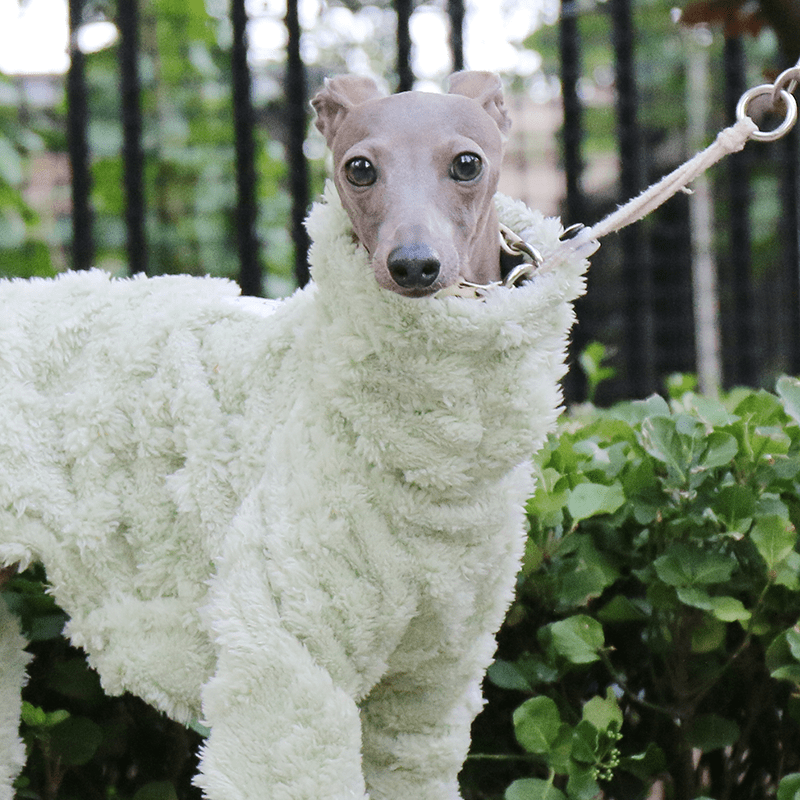 Italian Greyhound Onesies Double Fleece Thick Whippet Dog Clothing Green - PIKAPIKA