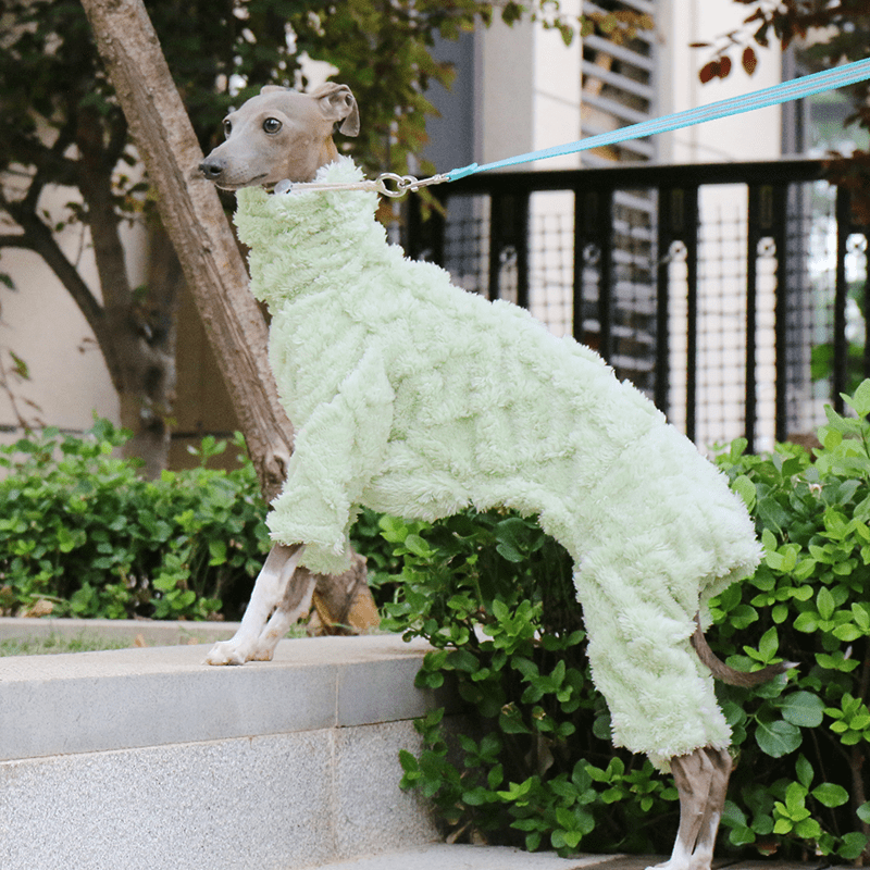 Italian Greyhound Onesies Double Fleece Thick Whippet Dog Clothing Green - PIKAPIKA