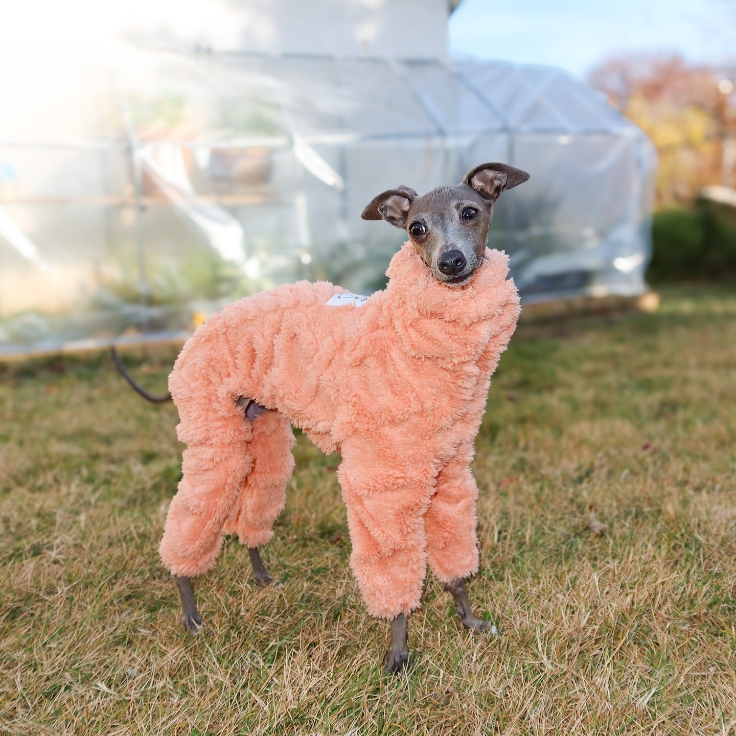 Italian Greyhound Onesies Double Fleece Thick Whippet Dog Clothing Orange - PIKAPIKA