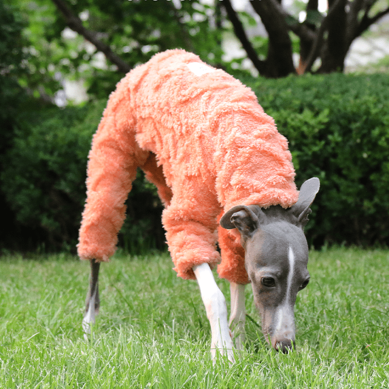Italian Greyhound Onesies Double Fleece Thick Whippet Dog Clothing Orange - PIKAPIKA