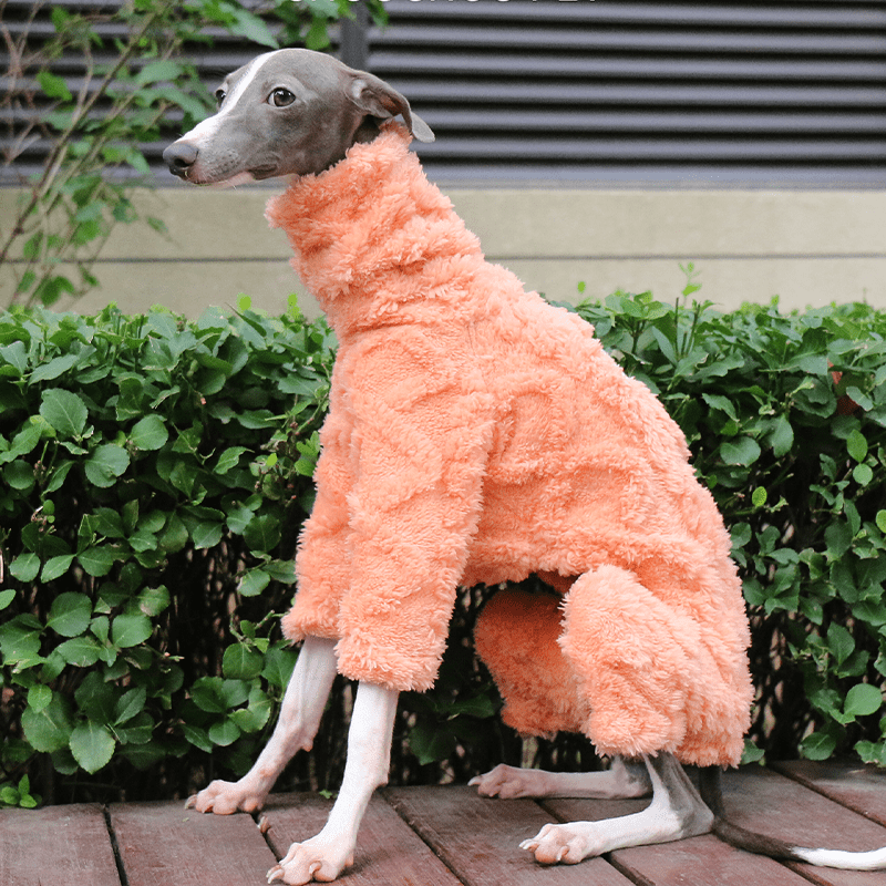 Italian Greyhound Onesies Double Fleece Thick Whippet Dog Clothing Orange - PIKAPIKA