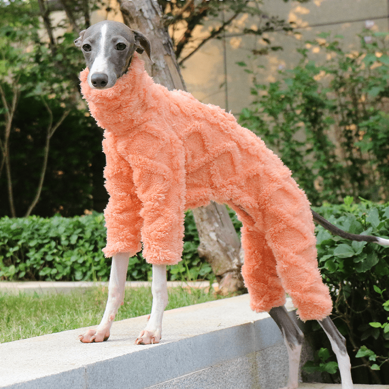 Italian Greyhound Onesies Double Fleece Thick Whippet Dog Clothing Orange - PIKAPIKA