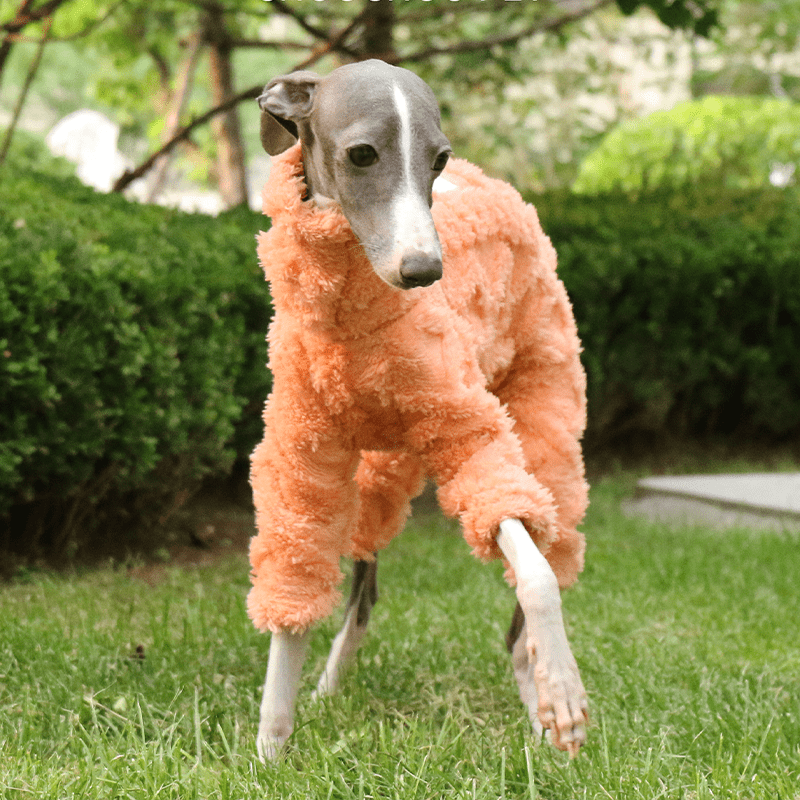 Italian Greyhound Onesies Double Fleece Thick Whippet Dog Clothing Orange - PIKAPIKA