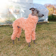 Italian Greyhound Onesies Double Fleece Thick Whippet Dog Clothing Orange - PIKAPIKA