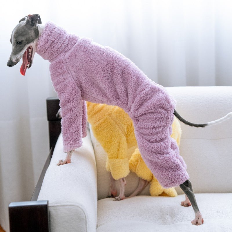 Italian Greyhound Onesies Double Fleece Thick Whippet Dog Clothing Purple - PIKAPIKA
