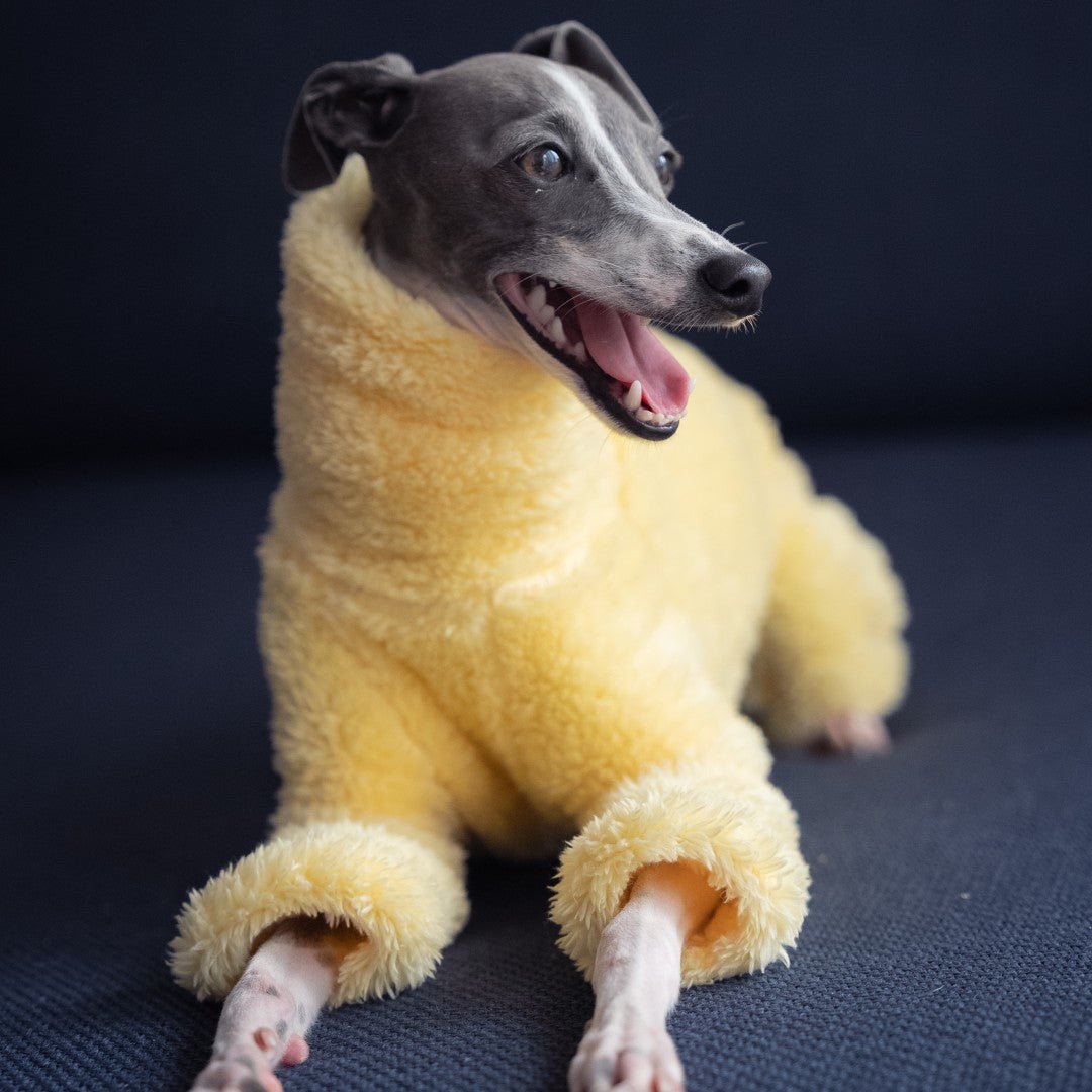 Italian Greyhound Onesies Double Fleece Thick Whippet Dog Clothing Yellow - PIKAPIKA