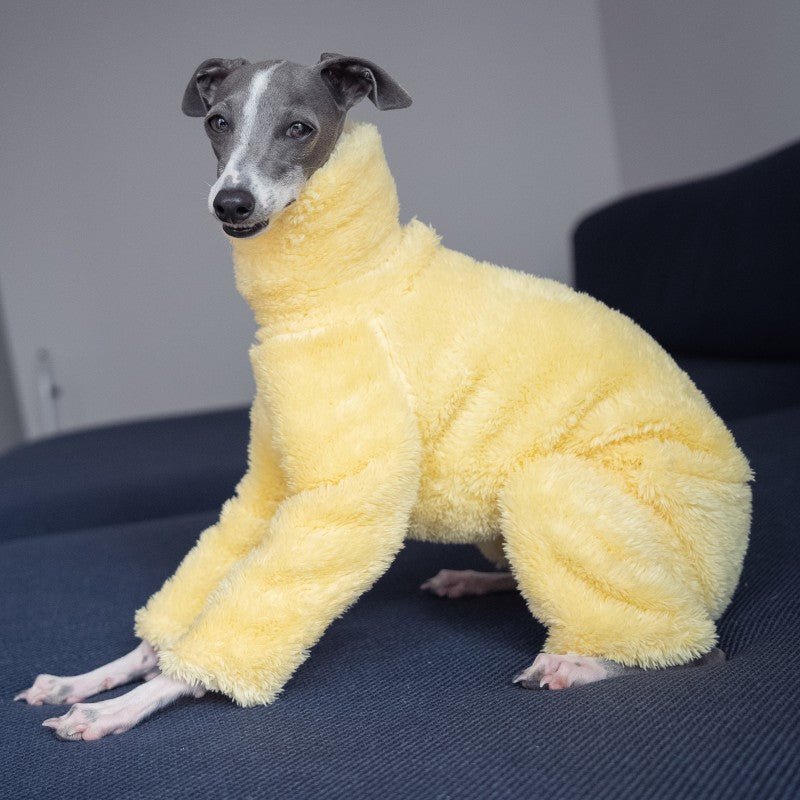 Italian Greyhound Onesies Double Fleece Thick Whippet Dog Clothing Yellow - PIKAPIKA
