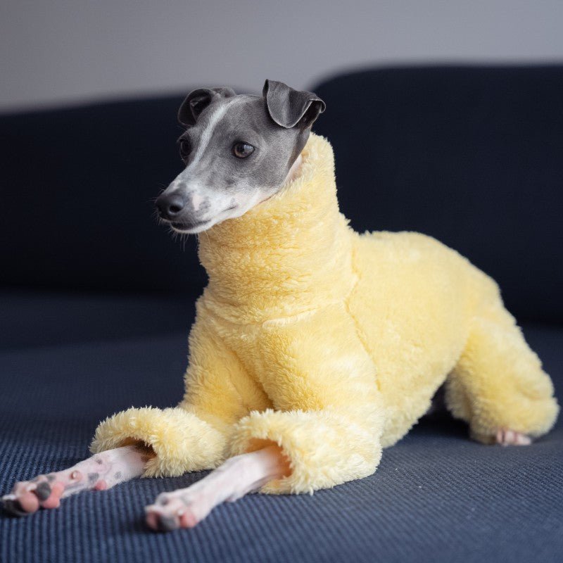 Italian Greyhound Onesies Double Fleece Thick Whippet Dog Clothing Yellow - PIKAPIKA