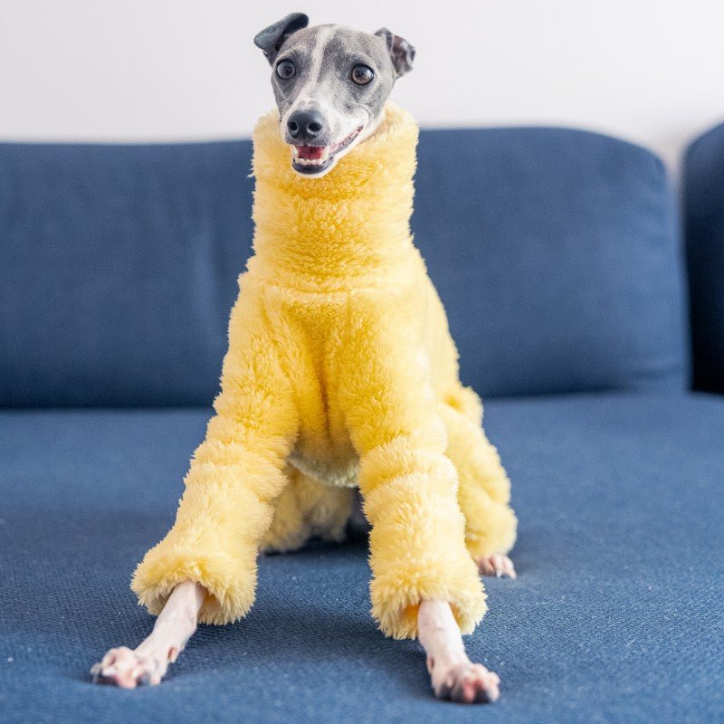 Italian Greyhound Onesies Double Fleece Thick Whippet Dog Clothing Yellow - PIKAPIKA