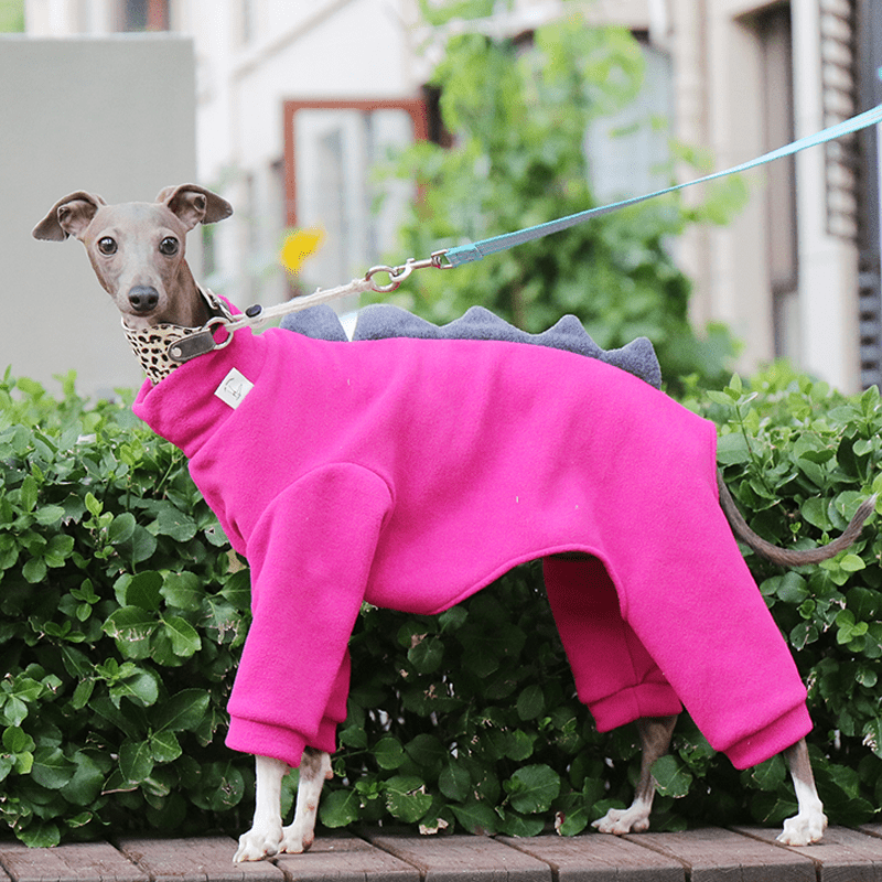 Italian Greyhound Onesies Fleece Dinosaur Thick Whippet Dog Clothes - PIKAPIKA