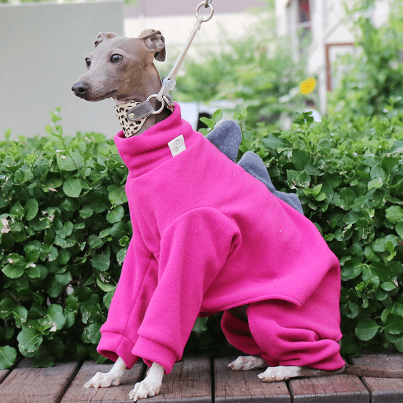 Italian Greyhound Onesies Fleece Dinosaur Thick Whippet Dog Clothes - PIKAPIKA