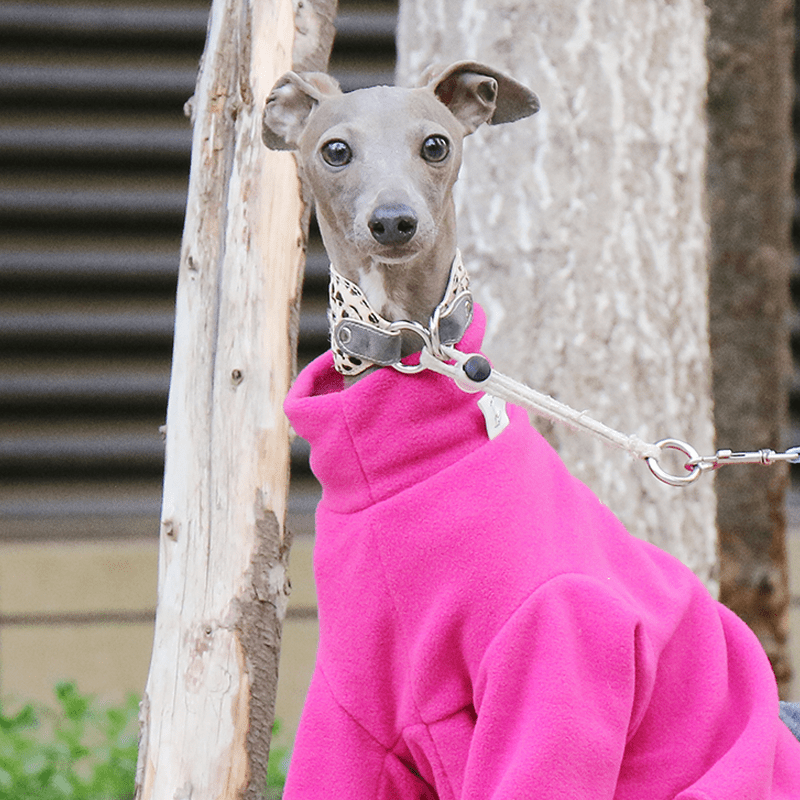Italian Greyhound Onesies Fleece Dinosaur Thick Whippet Dog Clothes - PIKAPIKA
