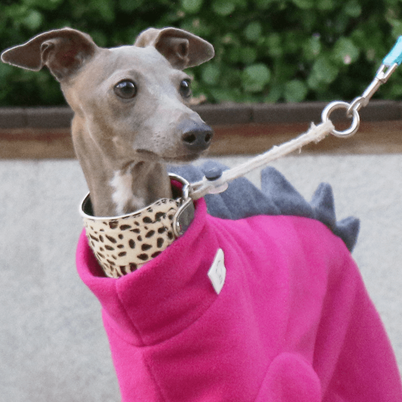 Italian Greyhound Onesies Fleece Dinosaur Thick Whippet Dog Clothes - PIKAPIKA
