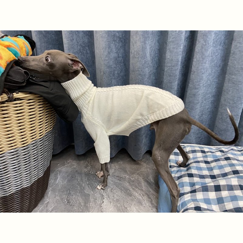 Knitting Sweater for Italian Greyhound Whippet - PIKAPIKA
