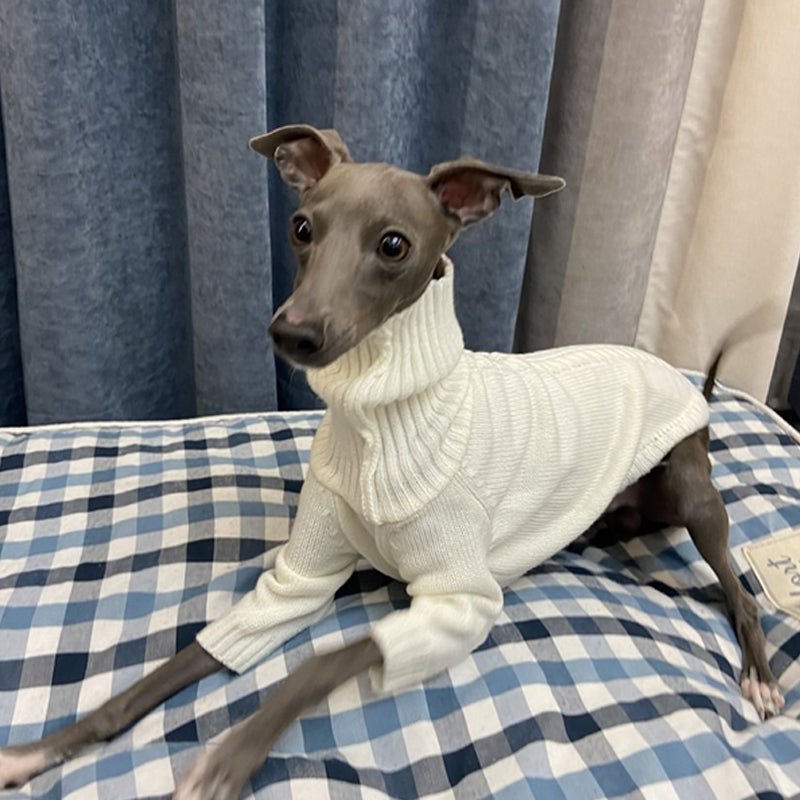 Knitting Sweater for Italian Greyhound Whippet - PIKAPIKA