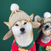 Lamb Woolen Dog Hat - PIKAPIKA