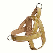 Large Dog Harness Collar Set No - Pull Anti - Escape Handle - PIKAPIKA
