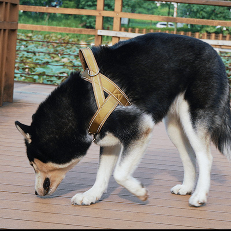 Large Dog Harness Collar Set No - Pull Anti - Escape Handle - PIKAPIKA