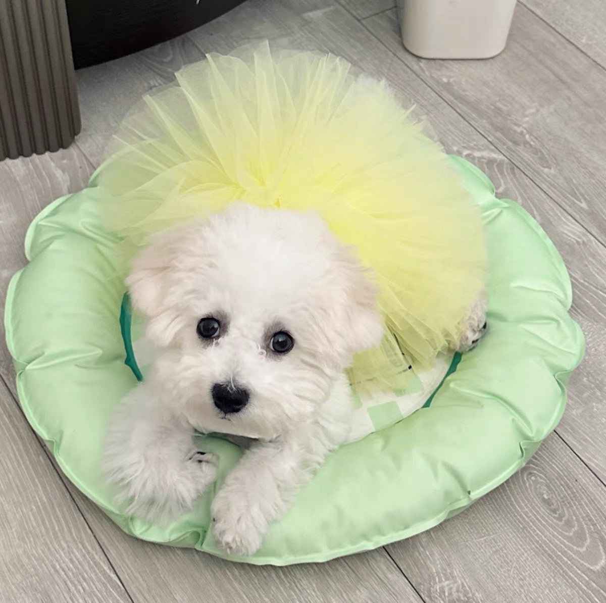 Layered Cake Puppy Dog Princess Dress Dog Clothes - PIKAPIKA