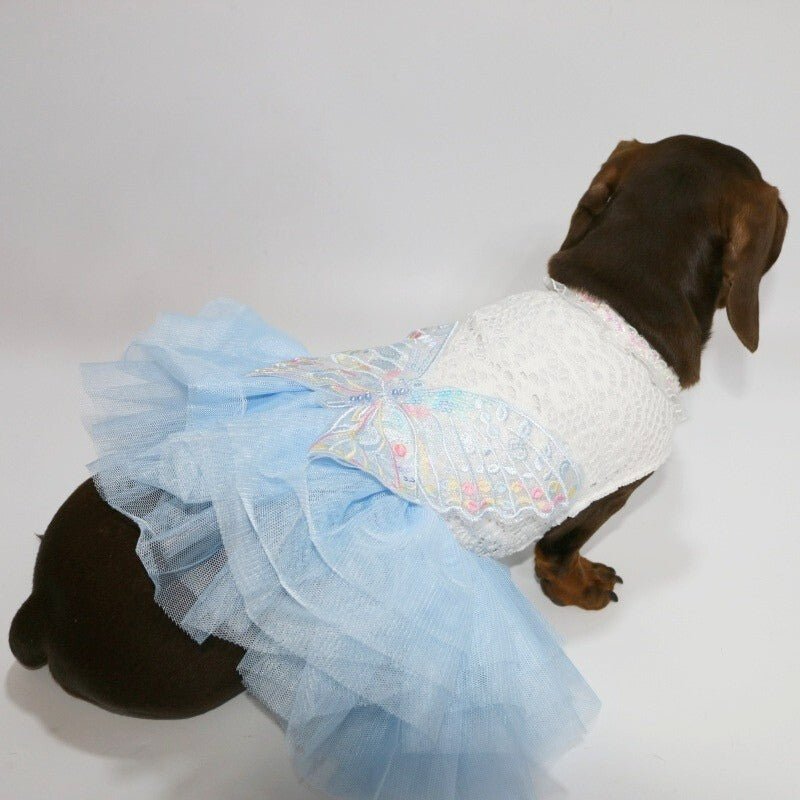 Layered Lace Dress Dachshund Dog Butterfly Clothes - PIKAPIKA