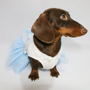 Layered Lace Dress Dachshund Dog Butterfly Clothes - PIKAPIKA