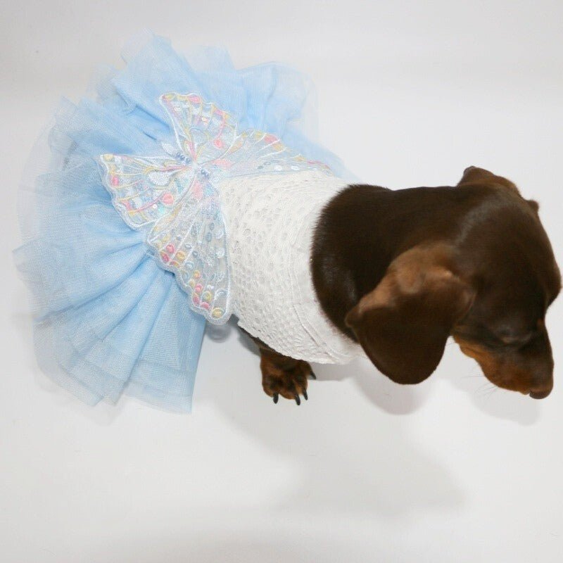 Layered Lace Dress Dachshund Dog Butterfly Clothes - PIKAPIKA