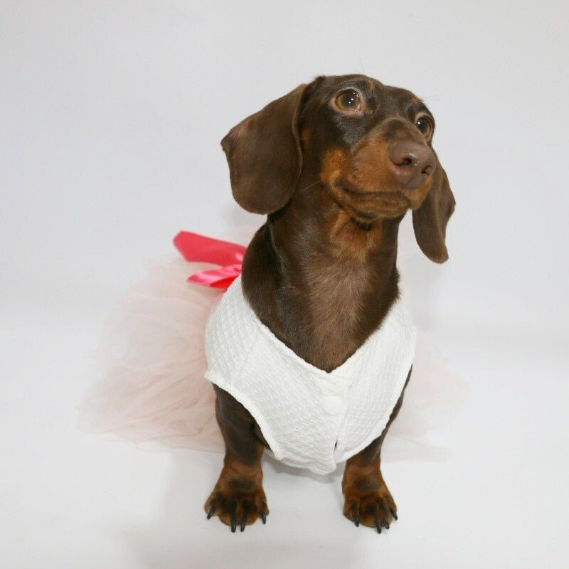 Layered Lace Dress Dachshund Dog Clothes Pink Bow - PIKAPIKA