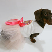 Layered Lace Dress Dachshund Dog Clothes Pink Bow - PIKAPIKA