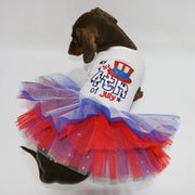 Layered Lace Dress Dachshund Dog July 4th Clothes Colorful - PIKAPIKA