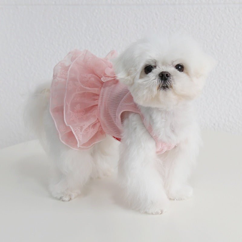 Layered Lace Dress Dog Clothes - PIKAPIKA