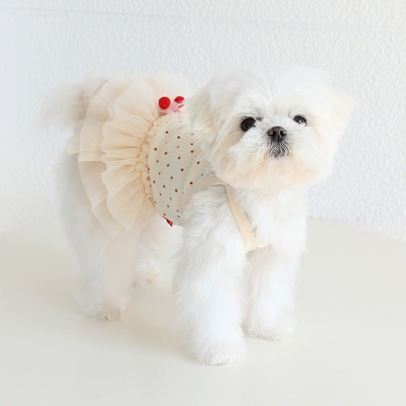 Layered Lace Dress Dog Clothes - PIKAPIKA