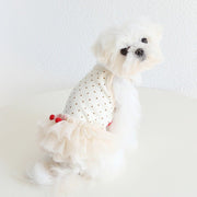 Layered Lace Dress Dog Clothes - PIKAPIKA