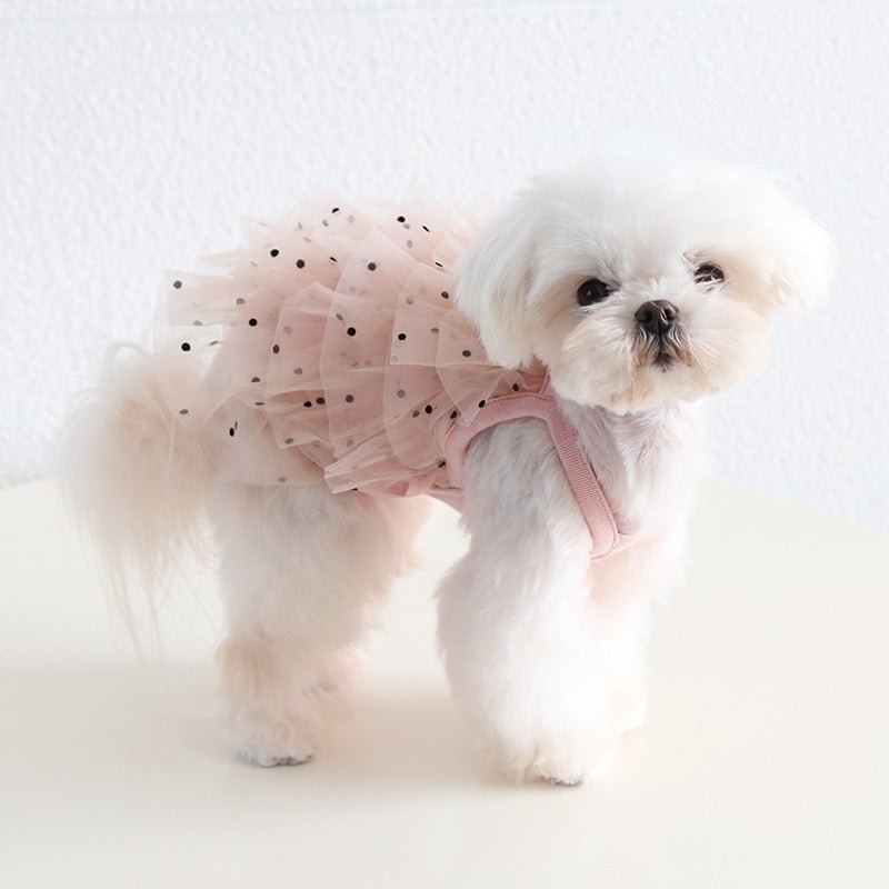 Layered Lace Dress Dog Clothes - PIKAPIKA