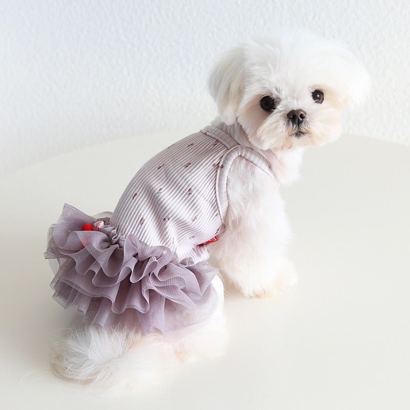 Layered Lace Dress Dog Clothes - PIKAPIKA
