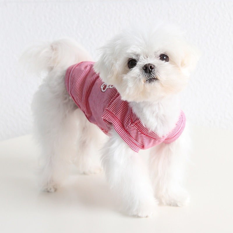 Layered Lace Dress Dog Clothes - PIKAPIKA