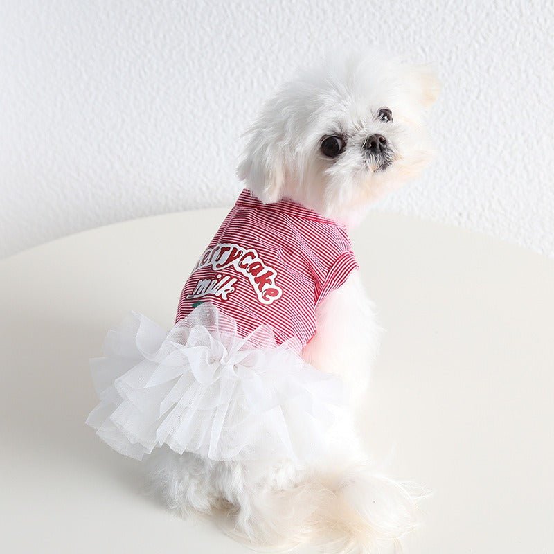 Layered Lace Dress Dog Clothes - PIKAPIKA