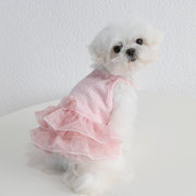 Layered Lace Dress Dog Clothes - PIKAPIKA